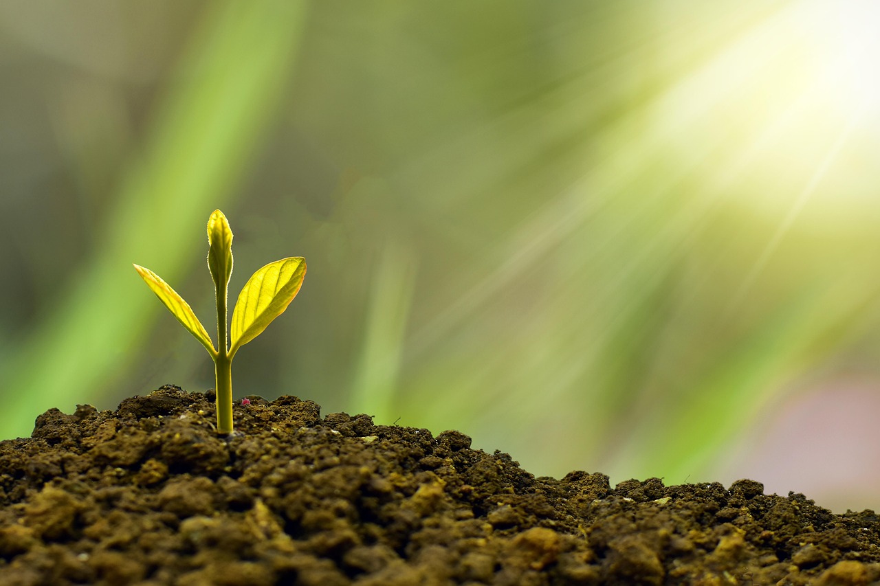Investment, concept, business — Legacy Builder Program Approaches to Navigating Complex Financial Decisions