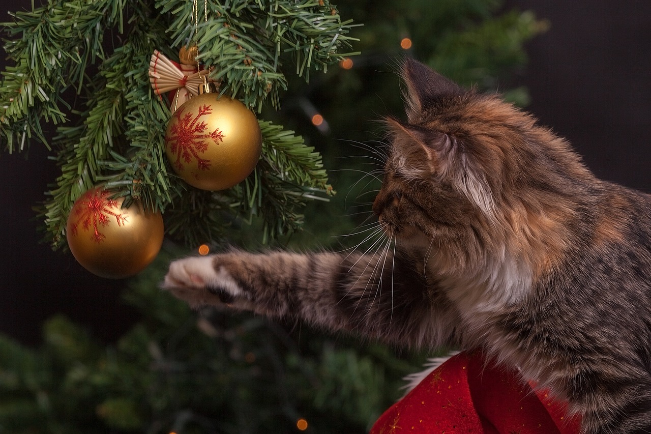 Cat, christmas tree, ornaments — "Upgrade Your Living Space with Modern Windows in Redmond"