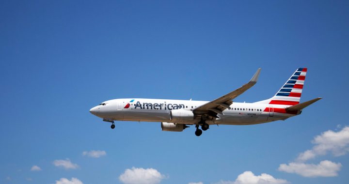 American Airlines indecent acts