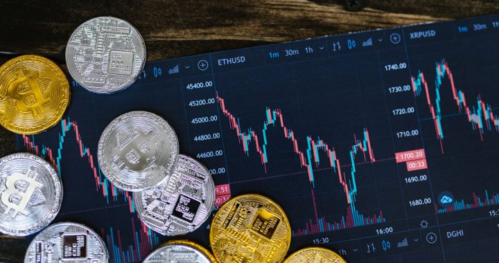 crypto market up