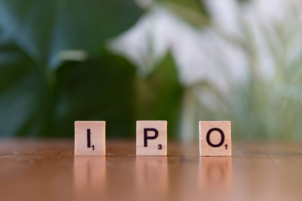 IPO allotment status