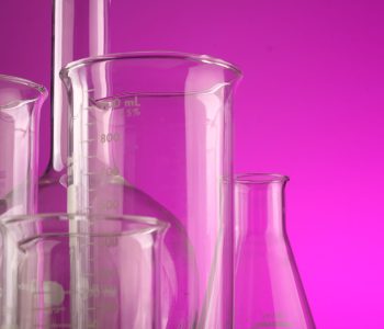 Purple Style Labs IPO