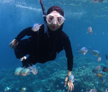 Asian stocks dive