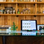 How Online Cannabis Shopping Is Shaping the Canadian Dispensary Experience